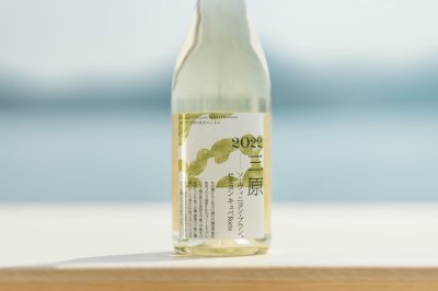商品紹介